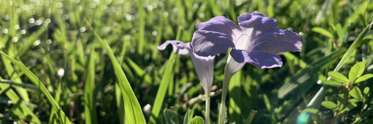 JFreeland's profile banner image