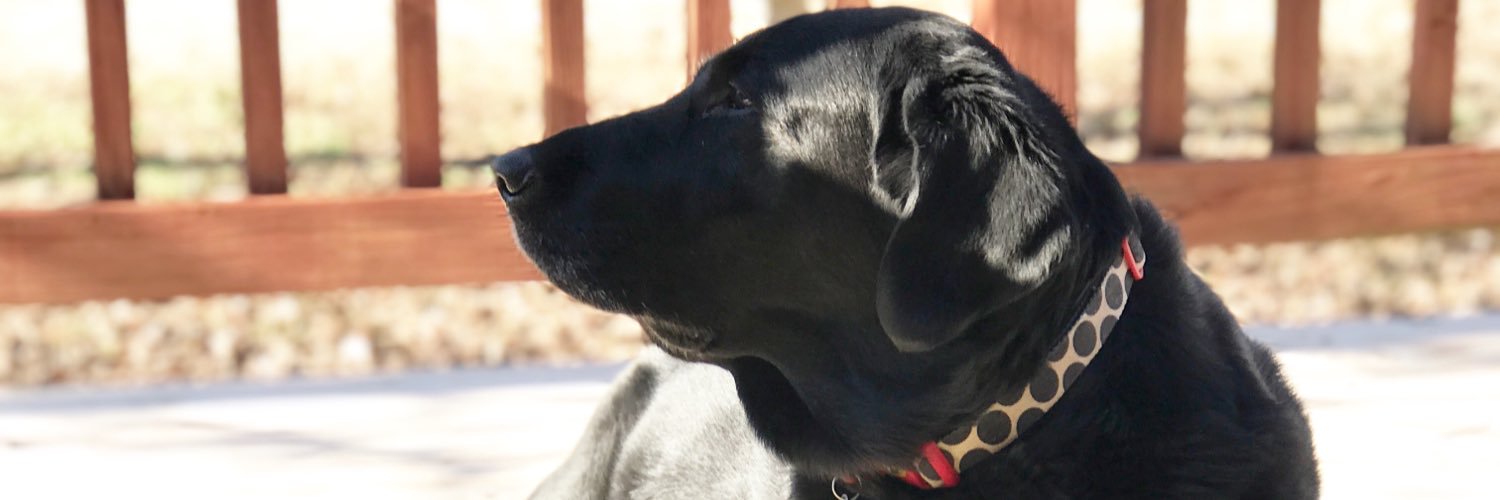 Sarah_Boo2121's profile banner image