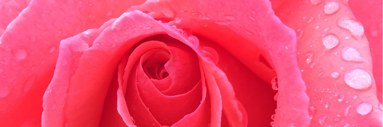 AlexandriaMonet's profile banner image