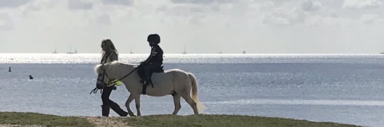 MrsRachDH's profile banner image