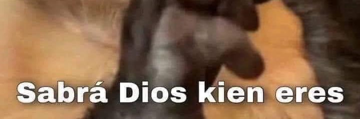 iosog's profile banner image