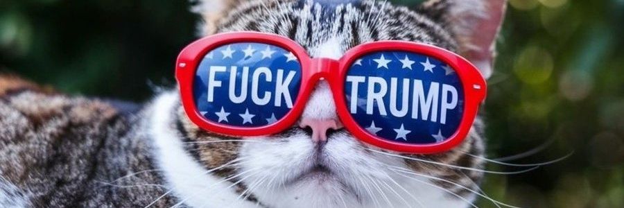 Mr. Fluffynutz-Enemy of the state's banner