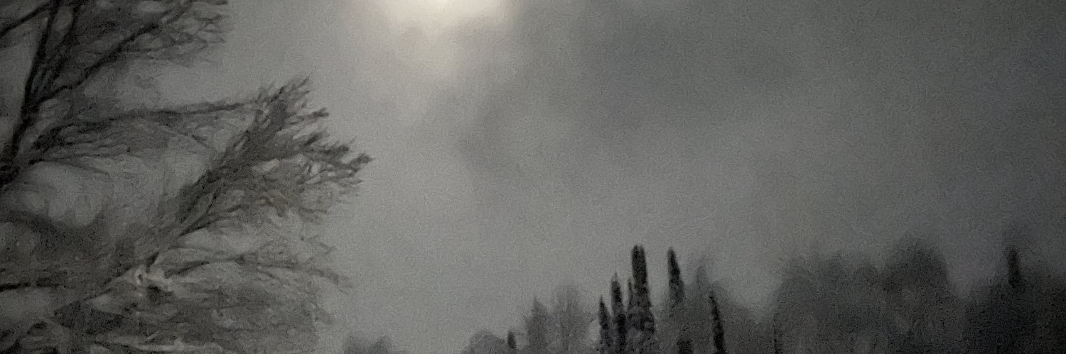 RobinWinter's profile banner image