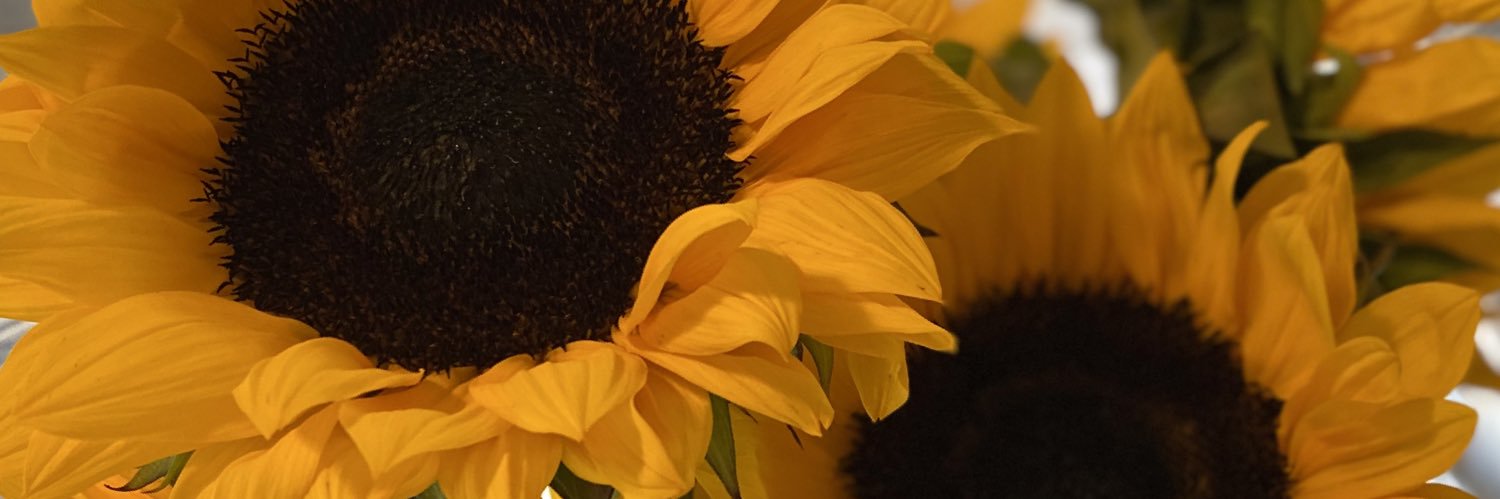 LEXi_YouBASTARD's profile banner image