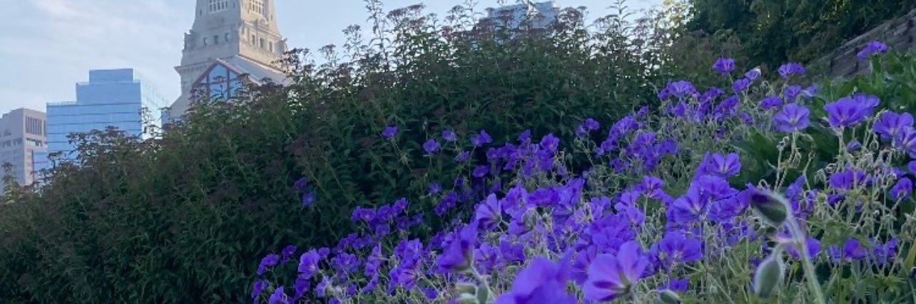 DeeBV's profile banner image