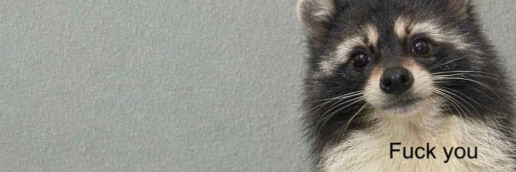 TheDesertRat75 banner