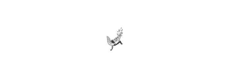 𔓘's banner