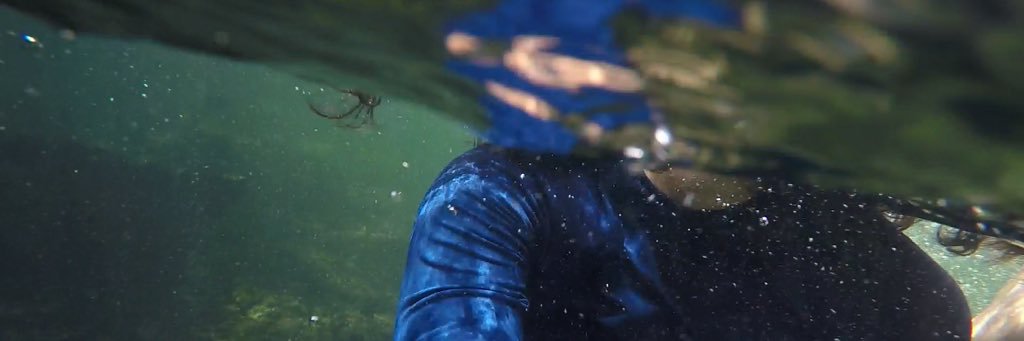 ∆⊓⊓ banner
