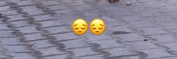 rorororo550 Profile Banner