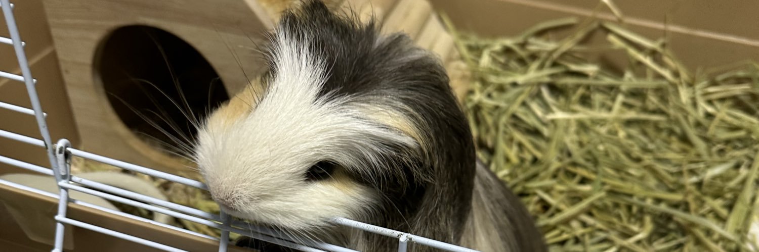 まぁぶる男爵2（新メイン垢） banner