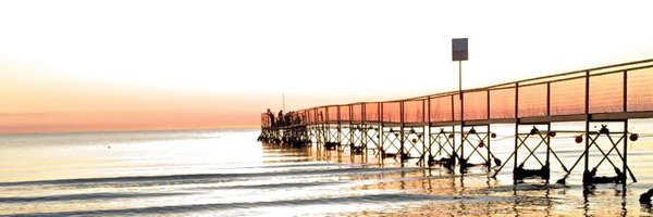 snaker8 Profile Banner