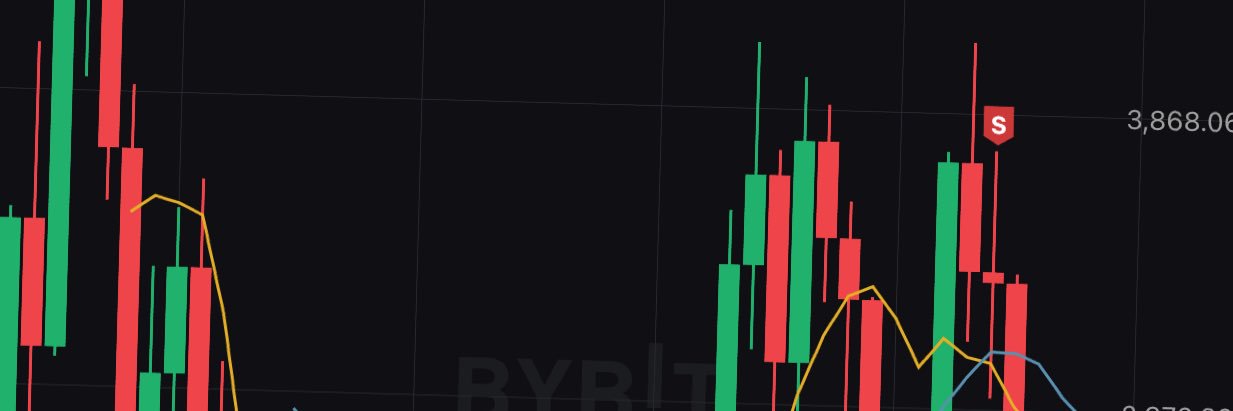 Whales banner