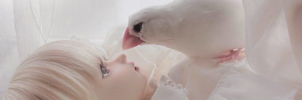 yui_hanazima Profile Banner