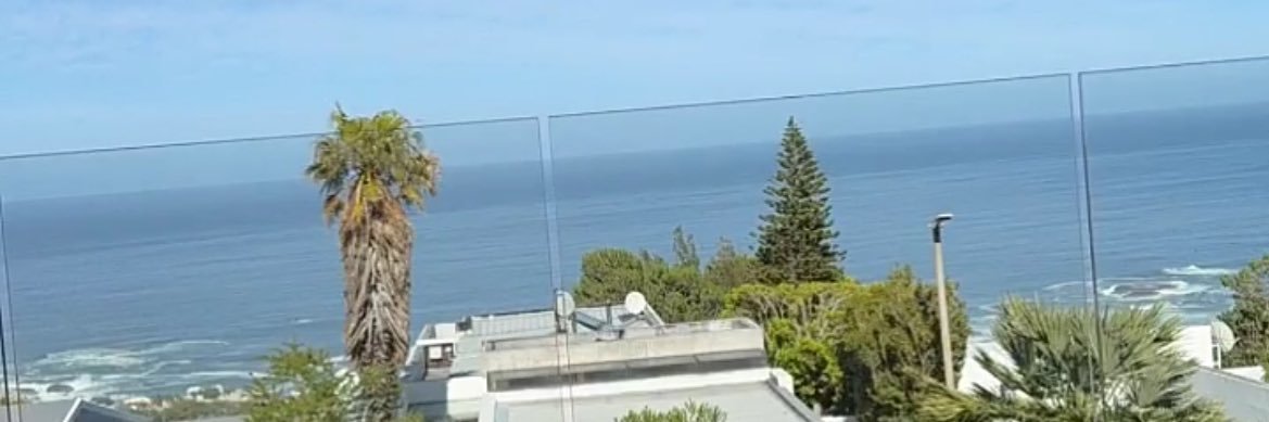 Shanna Willems banner