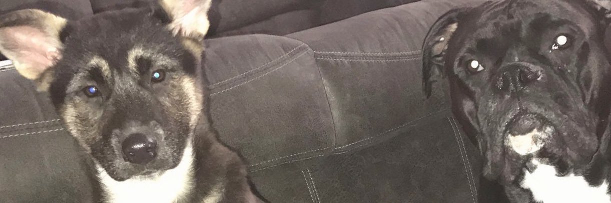 ThomasFarrell_'s profile banner image