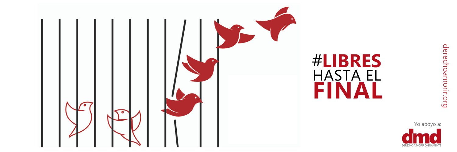 Fernanda del Castillo banner