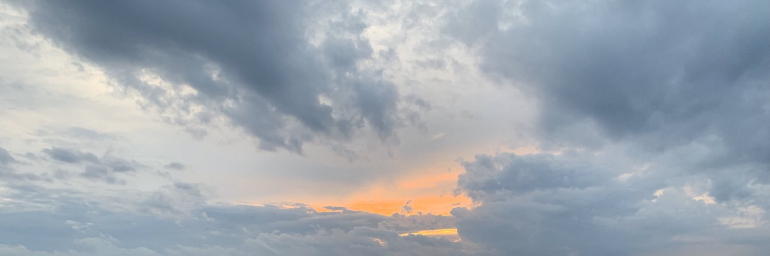 roxaniux88's profile banner image