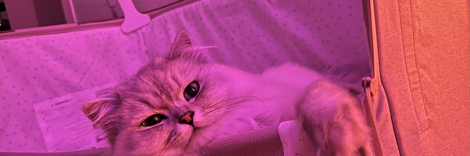 angelahendry_'s profile banner image