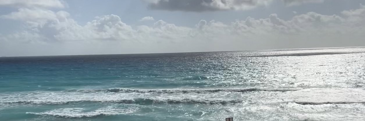 fridagtzM's profile banner image