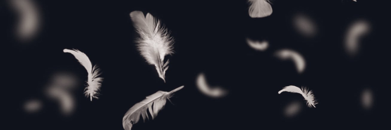 B_ara7's profile banner image