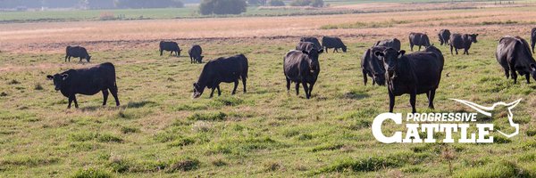 ProCattlemag Profile Banner