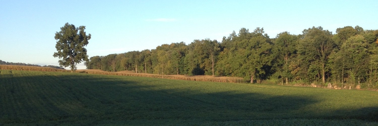 masoncraig8's profile banner image