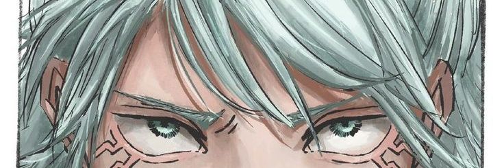 Fox banner