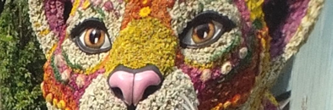 Arellagy's profile banner image