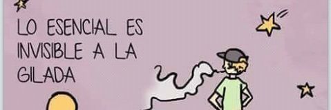 morochasonia's profile banner image