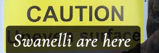 SwanelliFC's profile banner image