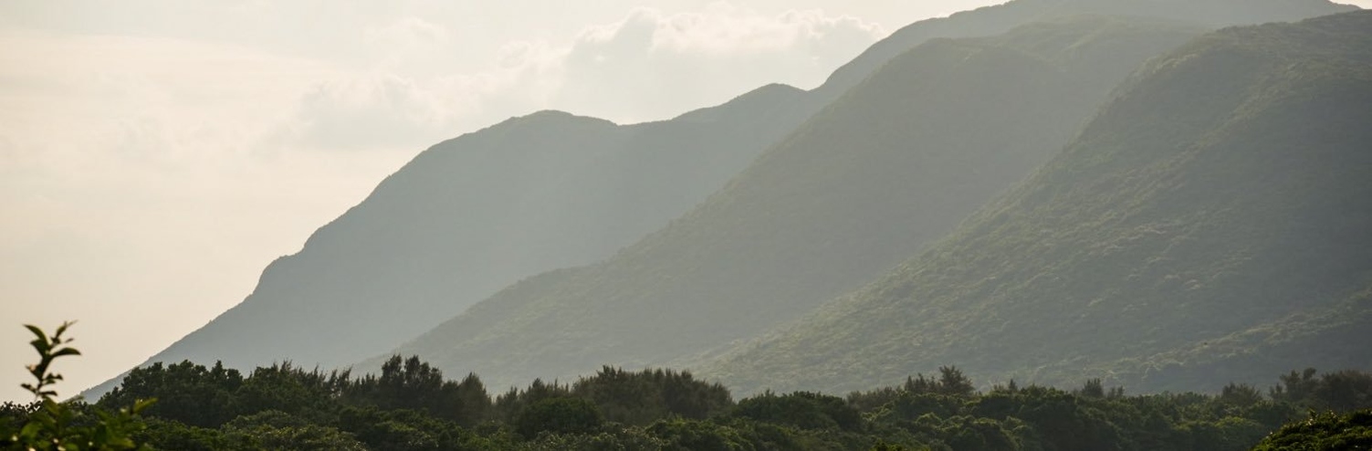 toeppclassnews's profile banner image