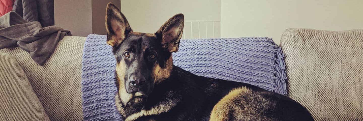 jwarykowski's profile banner image
