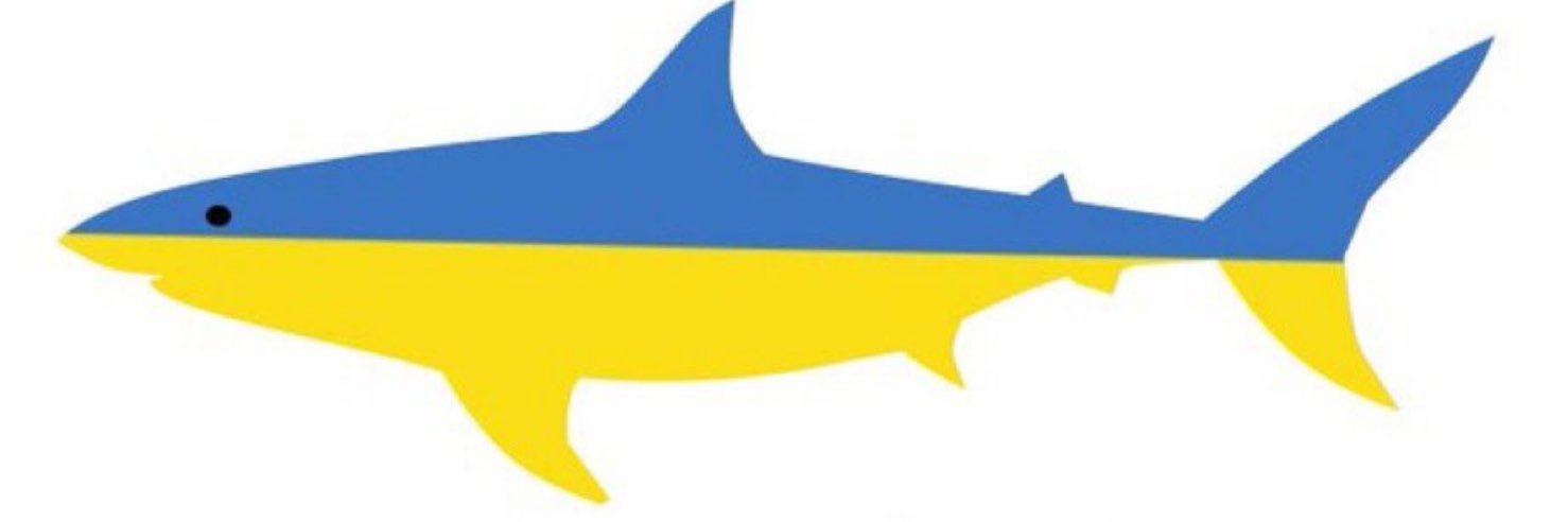 tsan.bsky.social 🇨🇦🇺🇦 #RussiaIsATerroristState banner