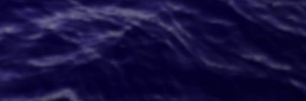 W.D Gaster 🖤 🤍's banner