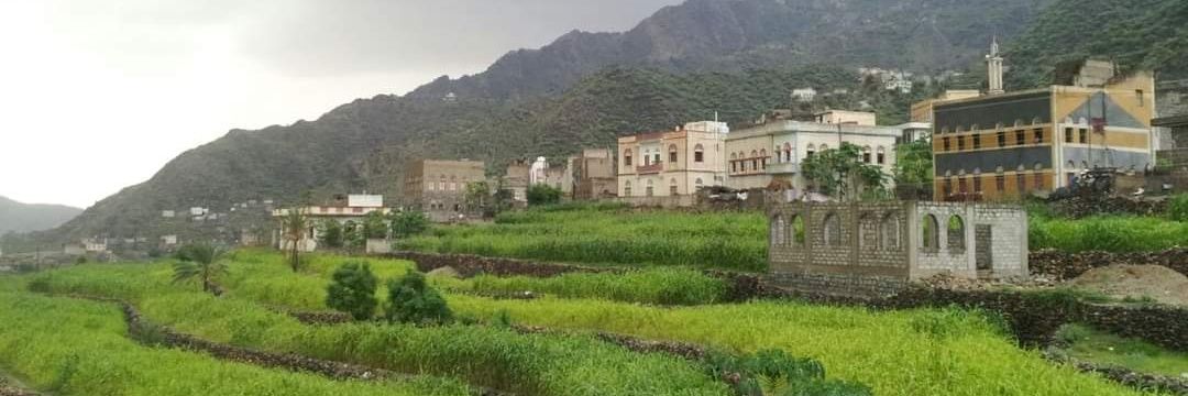 Ramialshameri's profile banner image