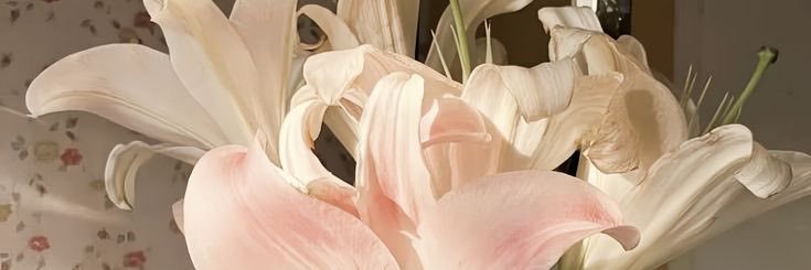 ra²⁶ | free tag to banner