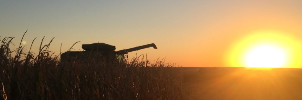 bortner_luke's profile banner image