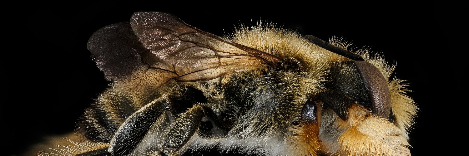 Marten Schoonman banner