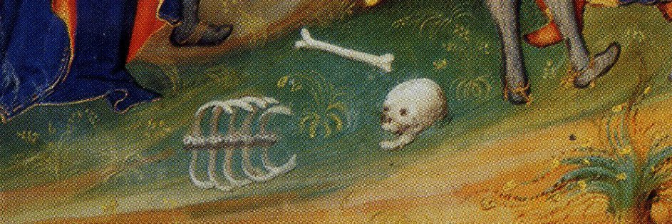 seweryn🏹's banner