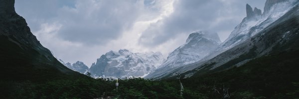 wp Profile Banner