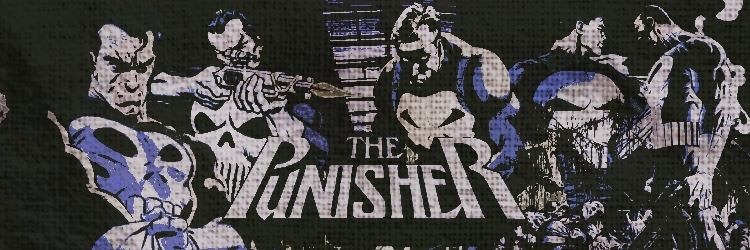 𝐓𝐇𝐄 𝐏𝐔𝐍𝐈𝐒𝐇𝐄𝐑. banner