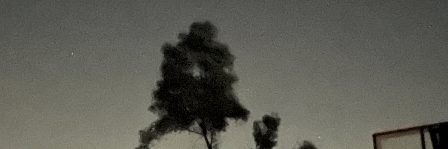 EXSF_RobNagle's profile banner image