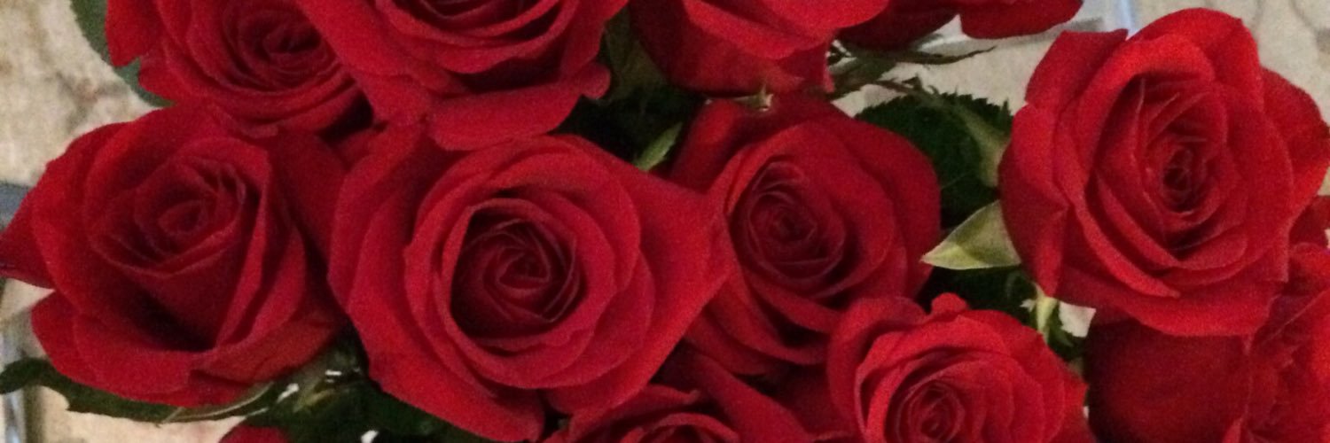 veronicaquirk's profile banner image