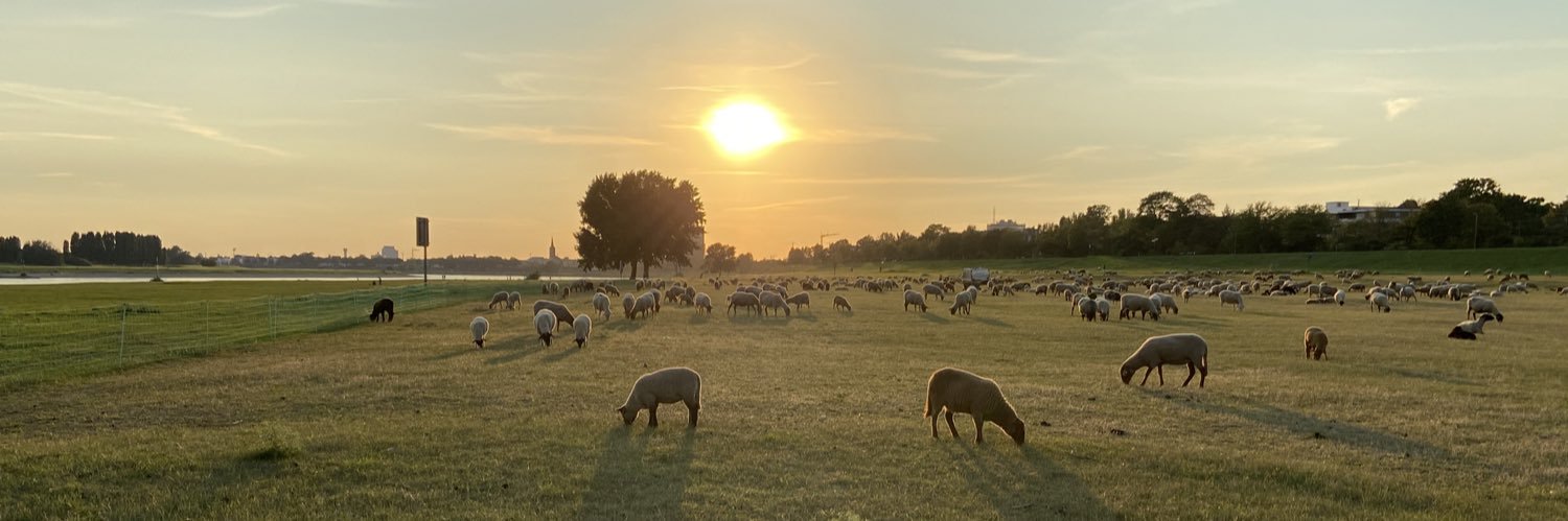 Andrea Krause banner