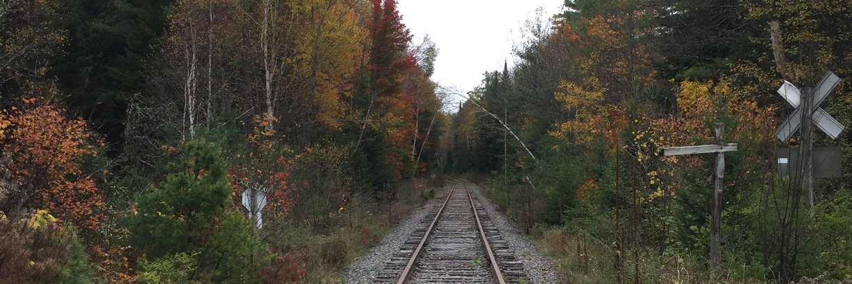 Flávia E. Rius banner