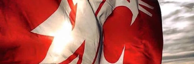 cfcjr13's profile banner image