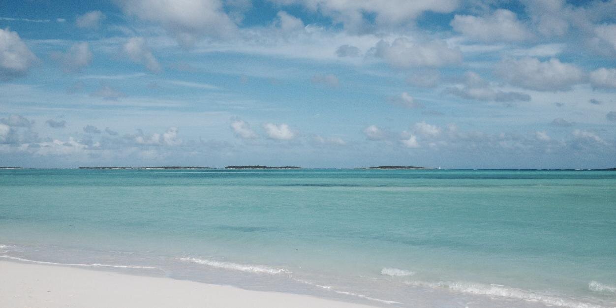 Katia Verresen banner