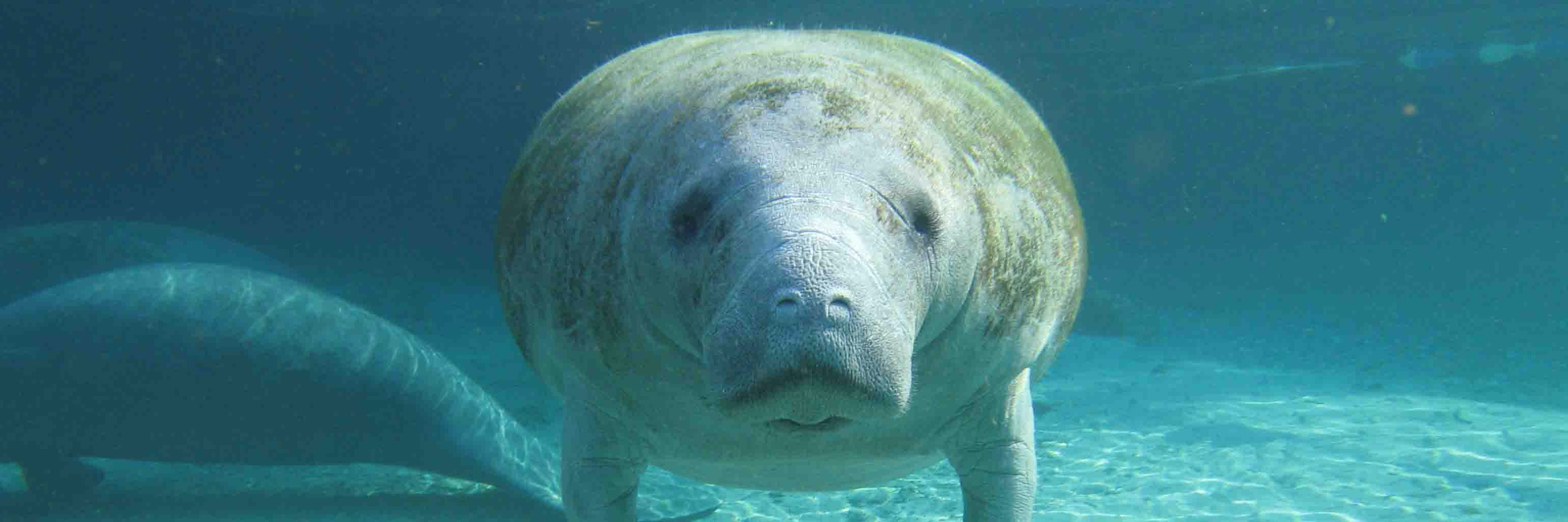 Austin ⚒️🇨🇦 banner