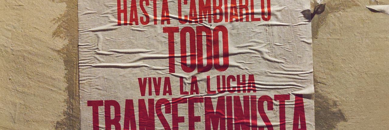 Anticapitalistas LGBTIQA+'s banner
