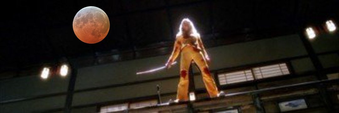 KILL BILL banner